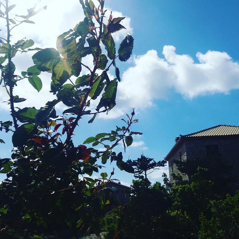 Andreas Katsaros Villas Volímai Exterior foto